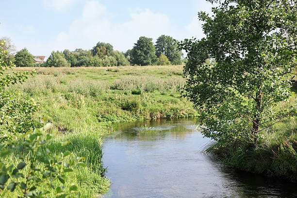istock Green grass and trees growing alongside river in countryside 2240762084