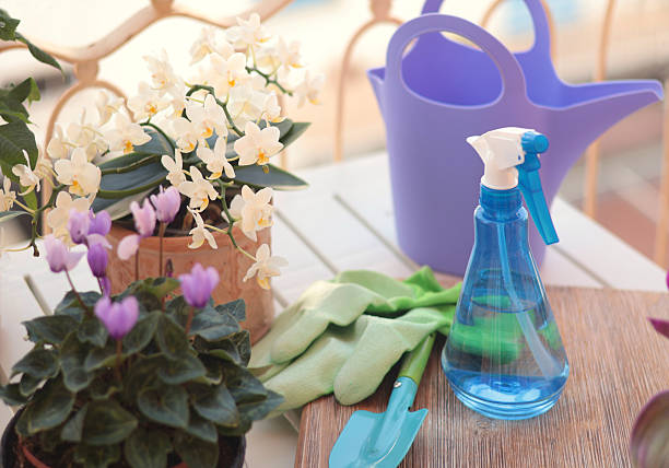 istock Blooming flowers in terracotta clay pots and gardening tools on balcony table. 2240762383
