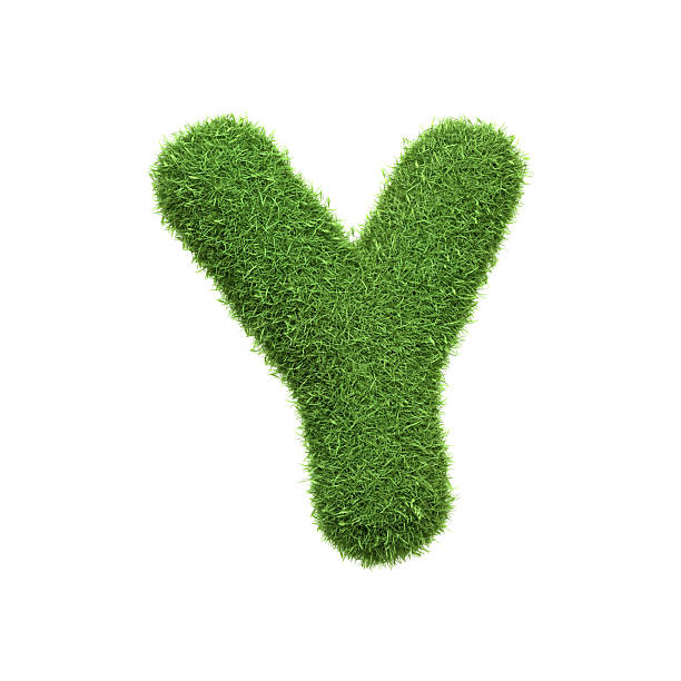 istock Capital letter Y shaped from lush green grass, isolated on a white background. Side view. 3D render illustration 2240765986