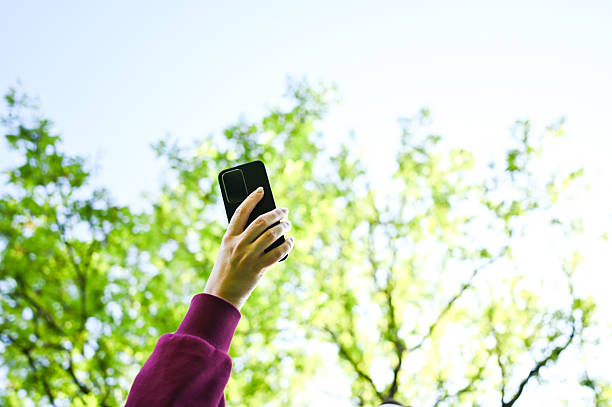 istock Hand holding smartphone capturing trees and sky 2240766400