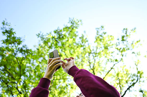 istock Person holding smartphone capturing nature in forest 2240766403