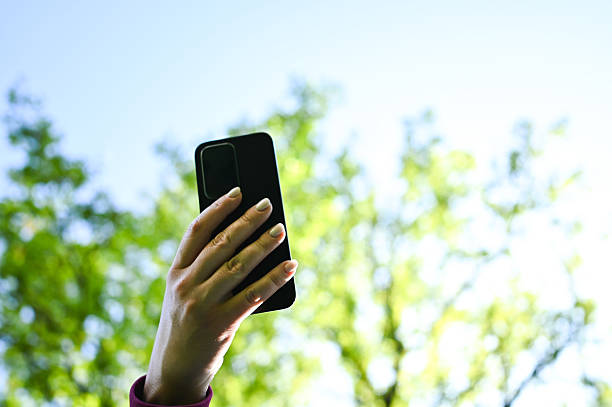 Person holding smartphone up towards green trees and clear sky