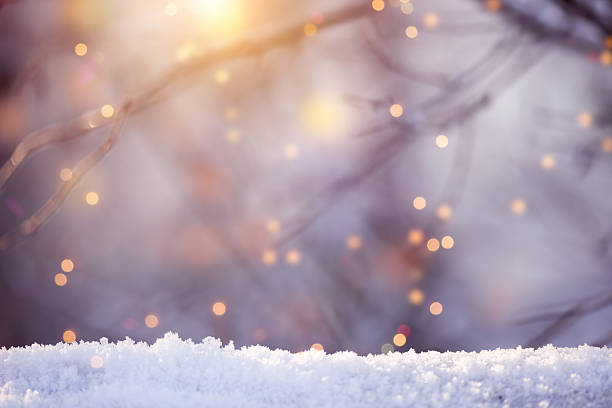 istock Tree branches in winter with fallen snow against sunlight and defocused lights 2240766631