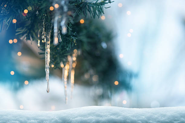 istock Fir tree and icicle background for Christmas decoration with snow and defocused lights 2240766719