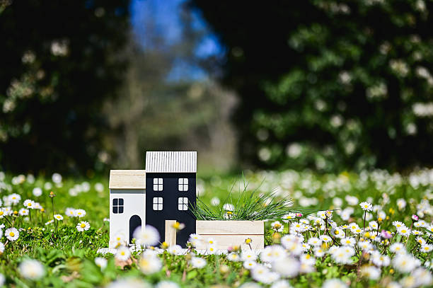 Toy houses and a planter with grass standing in a blooming daisy field on a sunny day