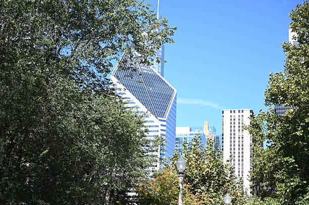 istock downtown chicago buildings with trees 2240773792