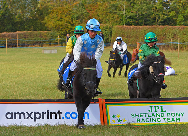 Woman Equestrian Riding Jumping on Show Horse