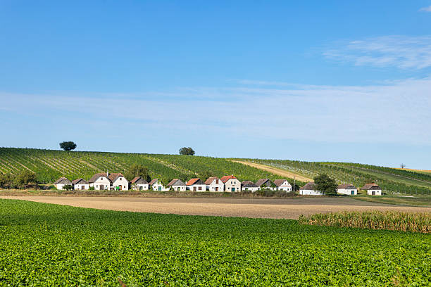 Historic Kellergasse houses nestled in vineyards and green fields under a clear blue sky