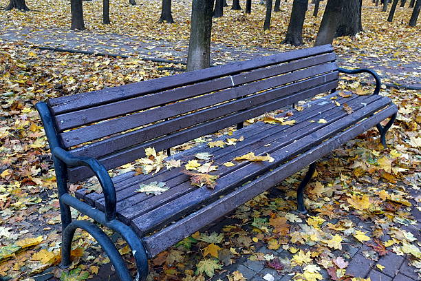 A park bench is not just a piece of furniture, but a silent witness that holds stories. It represents a quiet holiday, a meeting place with yourself and loved ones, a respite from the noise of a big city, allowing you to enjoy nature.