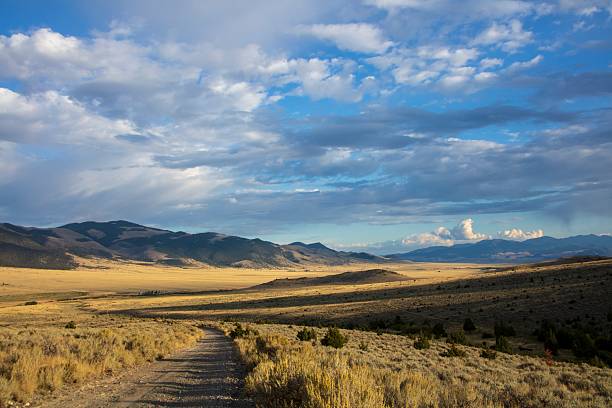 Sunset photo of a Montana ranch with long shadows and featuring a National Forest road