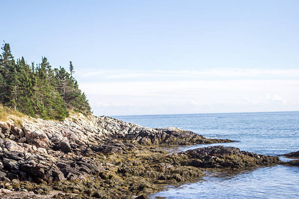 istock Saints Rest Beach on the Bay of Fundy Coast 2240779807