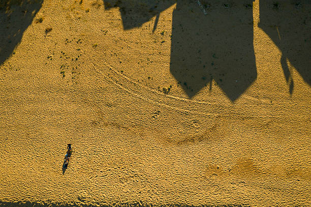 istock Desert camel walking alone across sandy landscape 2240782252