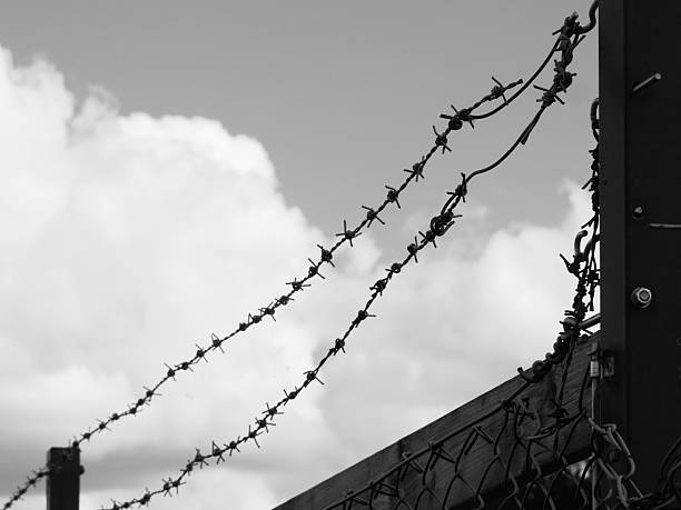 istock Close-up of barbed wire against the sky 2240782616