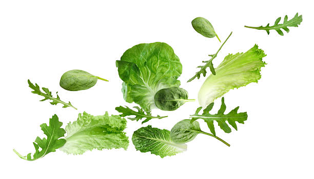 istock Fresh salad leaves flying against white background. Lettuce, arugula and spinach 2240786006