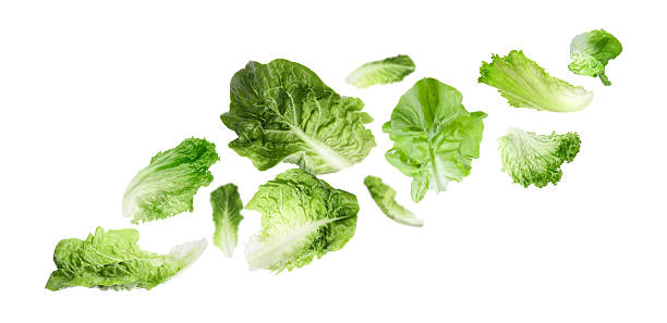 istock Fresh lettuce leaves flying against white background 2240786132