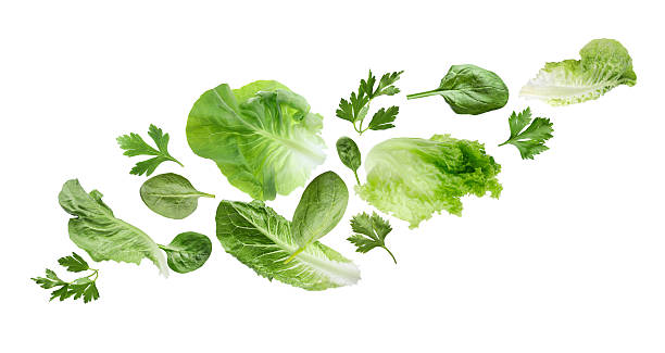 istock Fresh salad leaves flying against white background. Lettuce, spinach and parsley 2240786193