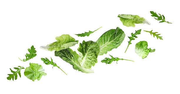 istock Fresh salad leaves flying against white background. Lettuce and arugula 2240786195