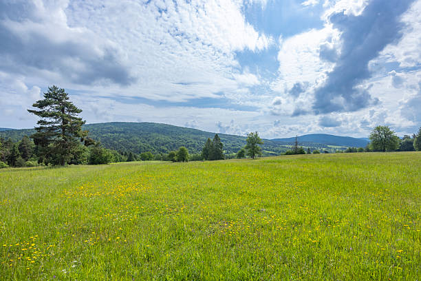 beautiful hiking trails near bernau in the black forest, the well-known hochtalsteig is a premium trail