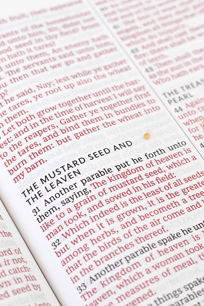 istock Mustard seed and leaven text in open holy bible book 2240792257