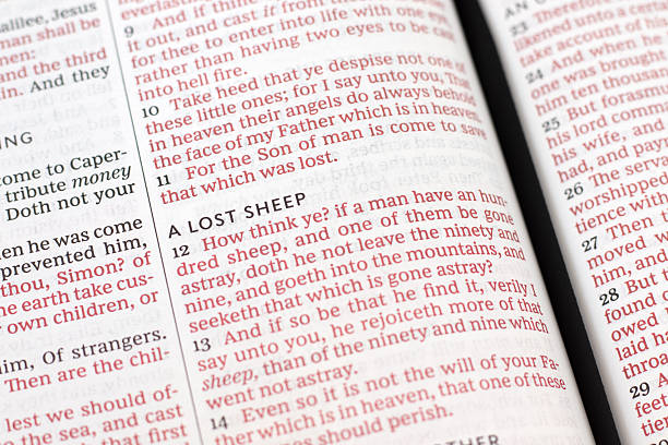 istock Lost sheep text in open holy bible book 2240792396