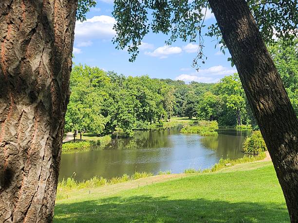 istock View of the river from behind the trees. 2240796112