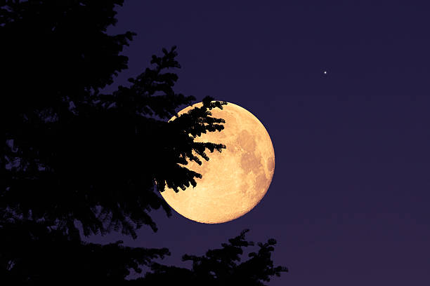 istock Full Moon, stars, planets and rural landscape scenery silhouettes. 2240798445