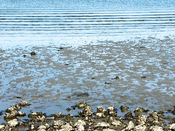View over the rippled water of the Eastern Scheldt at low tide in Wemeldinge,  a village located in the province of Zeeland in the Netherlands.