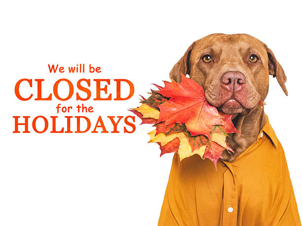 istock We will be closed for the Holidays. Cute dog 2240800641