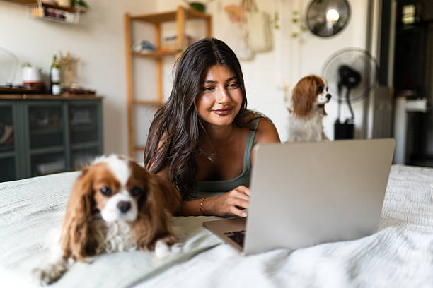 istock Young woman uses laptop while her dogs are around 2240800880