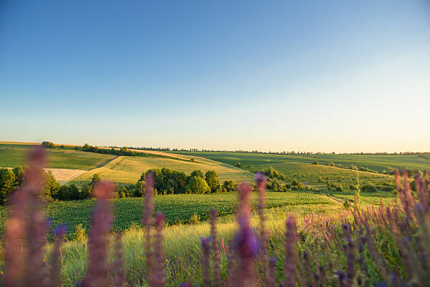 istock Countryside View with Meadows and Trees at Dusk 2240802868