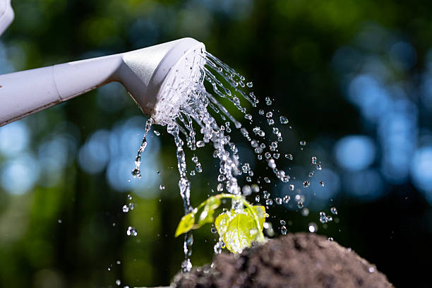istock Earth day. Watering can with plant. Ecology environment. Save earth, environmental concept. Environment, ecology, Earth day design. Environment day. Care earth environment. Watering plant concept. 2240808685
