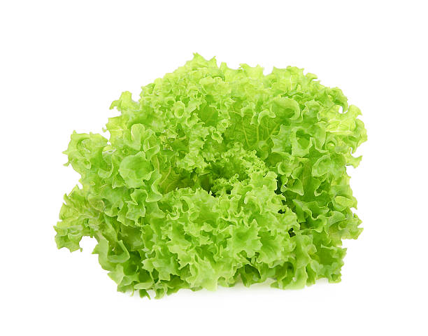 istock Fresh organic green lettuce isolated on white 2240815293