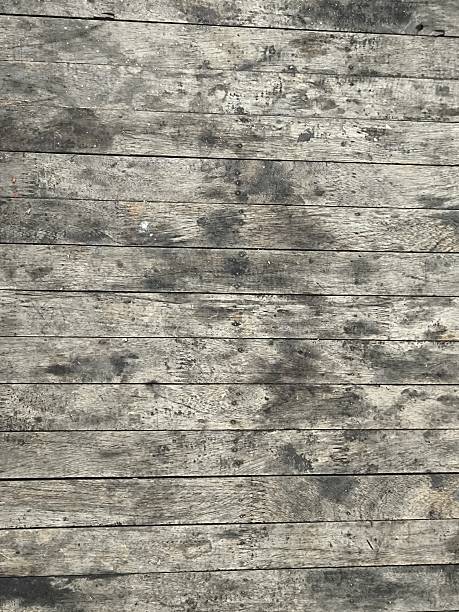 istock Texture of rustic wooden planks with aged surface. For use as a background, texture design, or construction and craftsmanship concept 2240818158