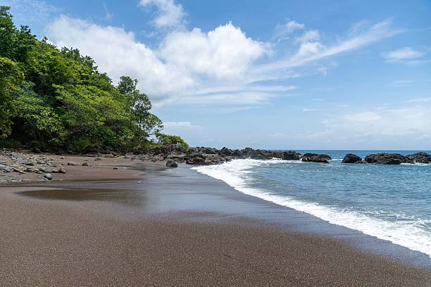 istock Tropical beach with lush greenery and rocky shoreline. 2240822379
