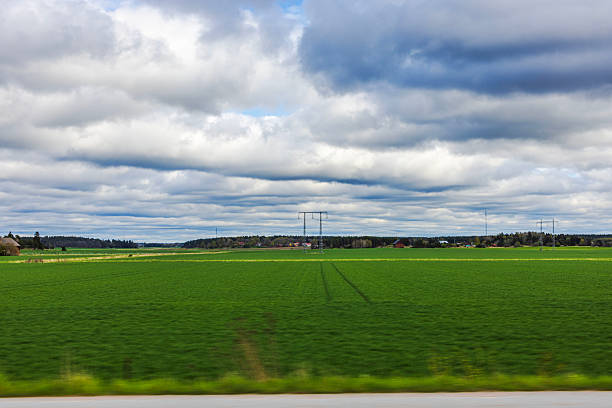 Beautiful green field with distant trees and power lines on background under cloudy sky in calm rural landscape. Sweden.