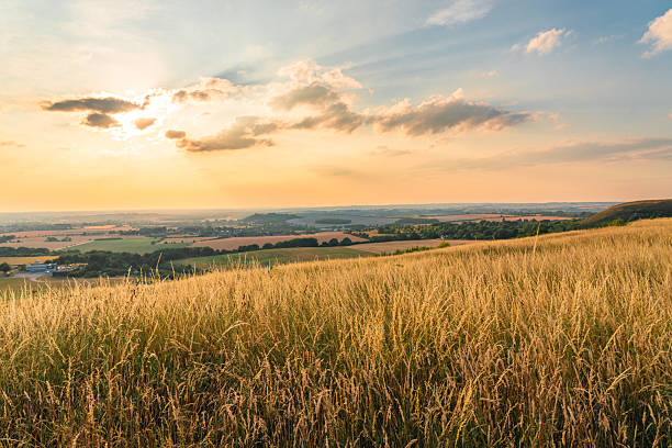 Golden sunset over the dunstable downs in england