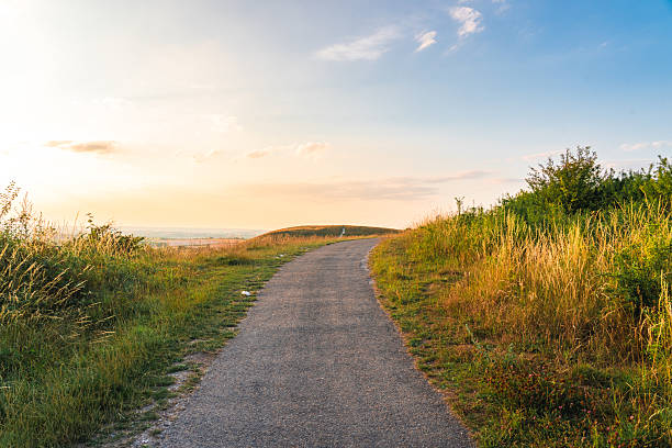 istock Winding path through golden grass at sunset on dunstable downs 2240829317