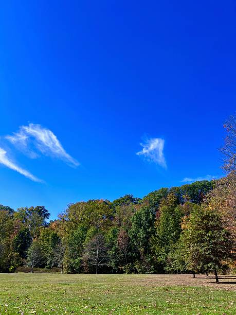 istock Autumn in Cleveland Metroparks Ohio 2240832589