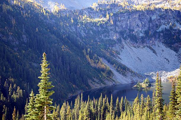 Larch trees turn golden yellow in early October in the North Cascades of Washington State.