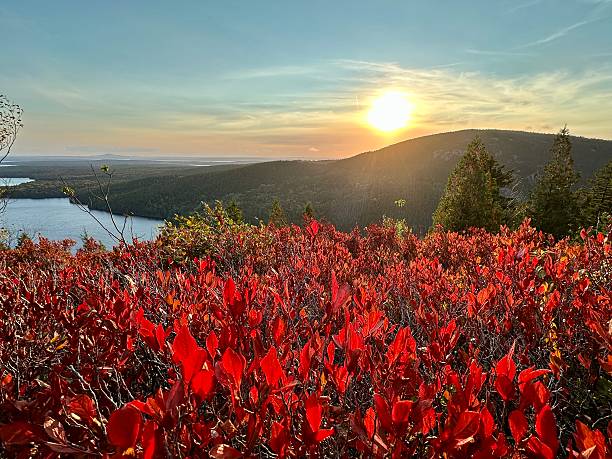 istock Cadillac Mountain, Acadia National Park 2240840240