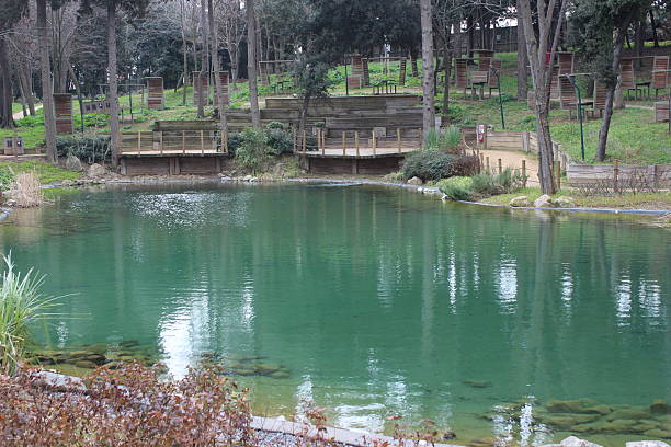 istock Natural life with the park and the pond inside. -1 2240841827