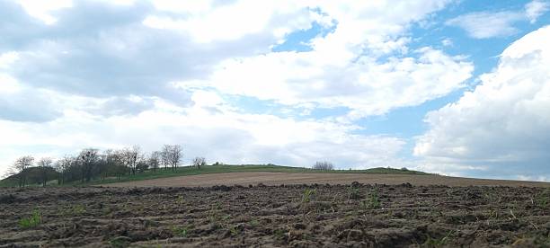 Rural farmland with plowed field and blue cloudy sky