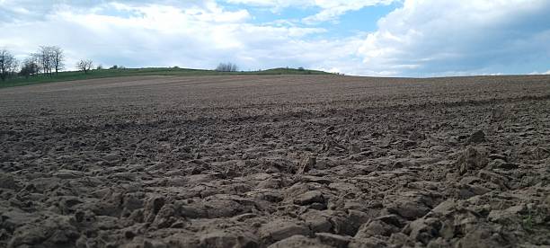 Plowed agricultural field under cloudy blue sky in countryside
