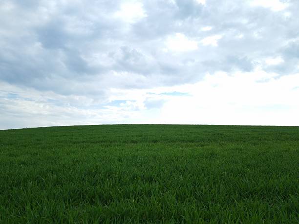 istock Green Hill under Cloudy Sky Landscape 2240844257