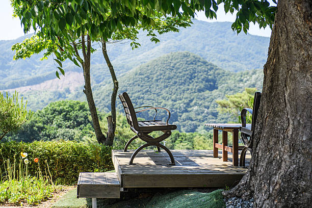istock Park scene with a bench under the shade of a tree 2240847479