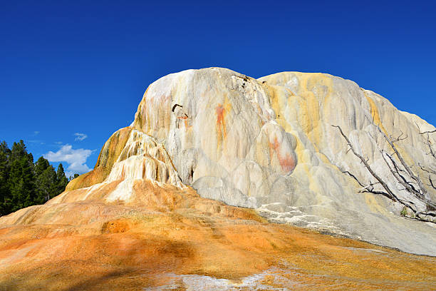 Yellowstone National Park, Wyoming, USA: Orange Spring Mound, in the Upper Terraces of Mammoth Hot Springs, consists of a travertine mound formed by the precipitation of calcium carbonate from geothermally heated groundwater that dissolves limestone layers and deposits minerals as the water cools and emerges at the surface. The feature measures 48 by 20 feet and discharges water at approximately 170°F (77°C), a temperature lower than that of many other springs in the park, which permits the growth of orange cyanobacteria that color its flanks. Positioned along Upper Terrace Drive near the end of the loop, the mound is reached via boardwalks