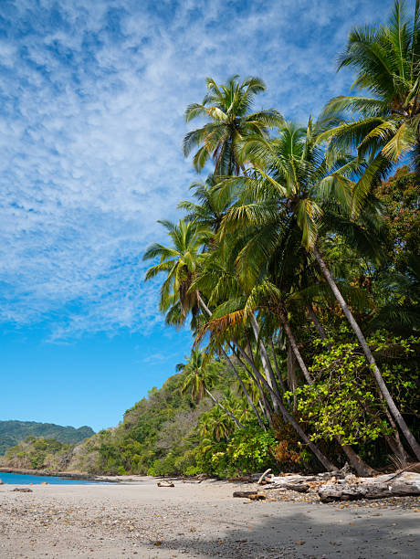 istock A serene tropical beach in Punta Arenas, Costa Rica 2240849734