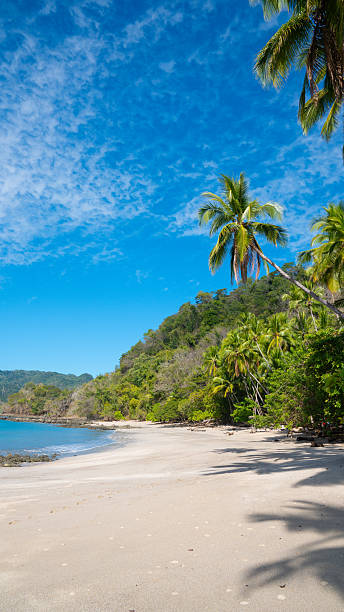 istock A serene tropical beach in Punta Arenas, Costa Rica 2240849949
