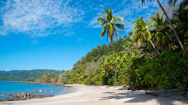 istock A serene tropical beach in Punta Arenas, Costa Rica 2240850521