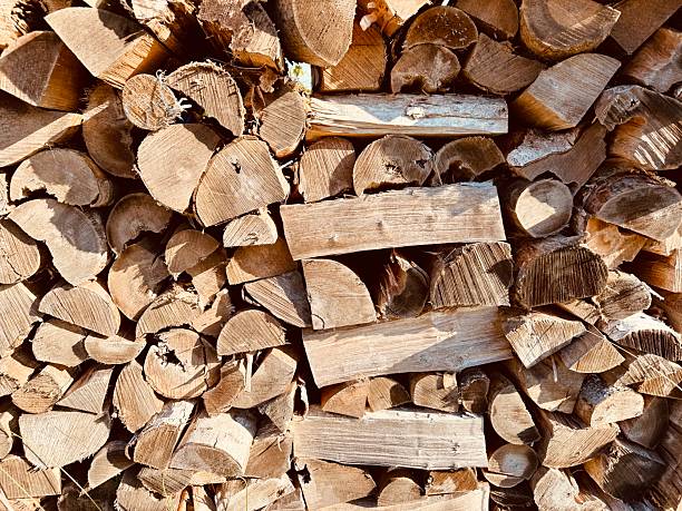 Stacked firewood in neat pile, natural background